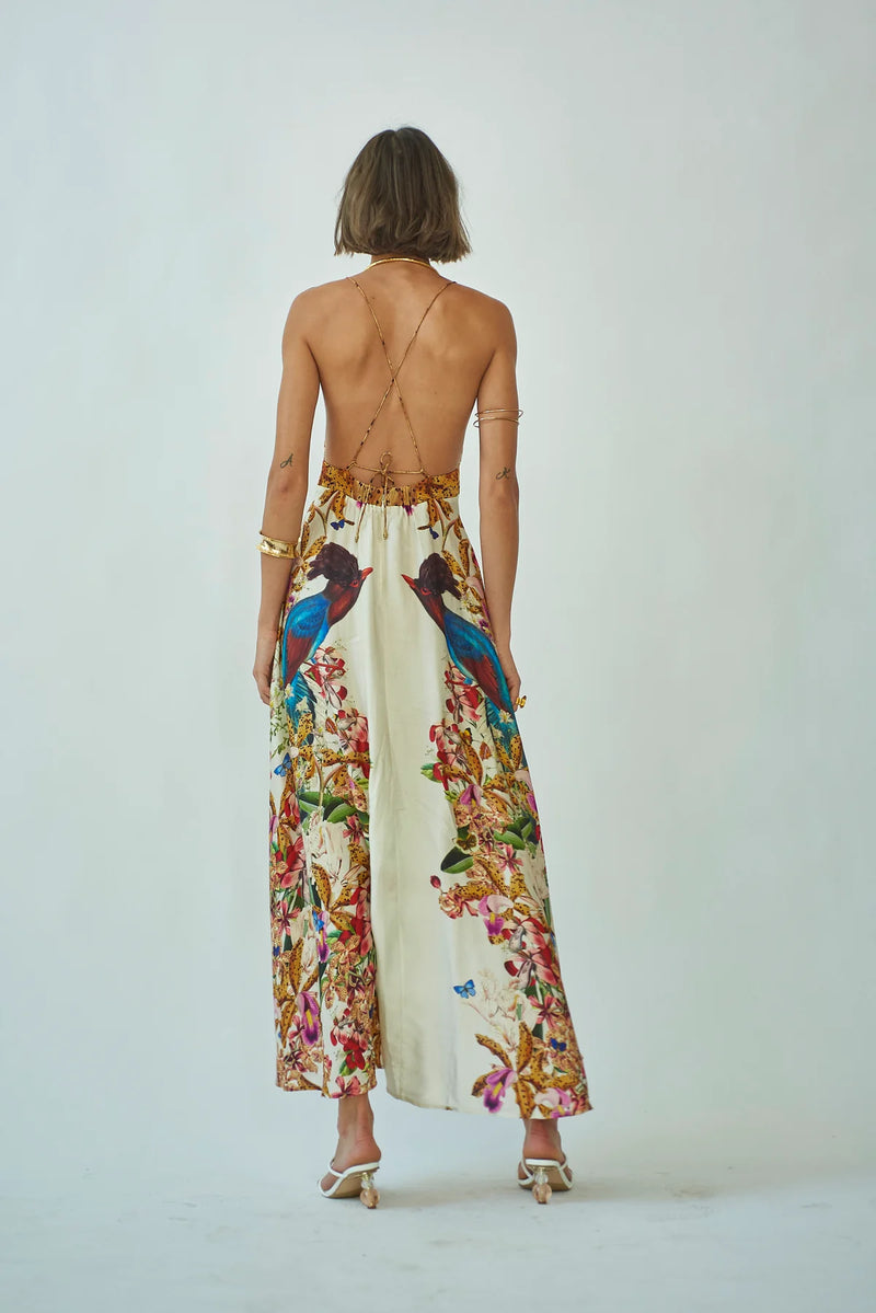 Star Dress Divine Birds White