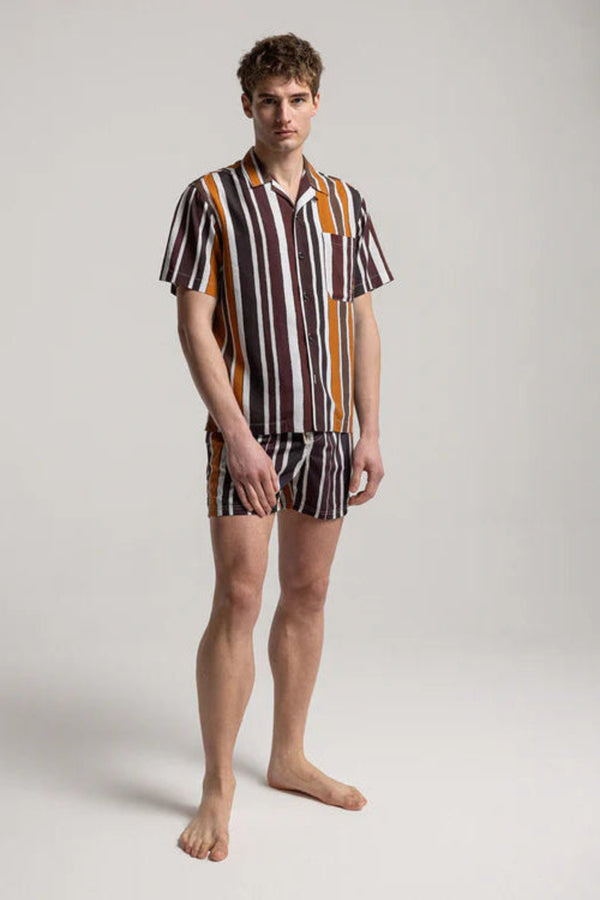 Brown Baiadera Short Sleeve Shirt