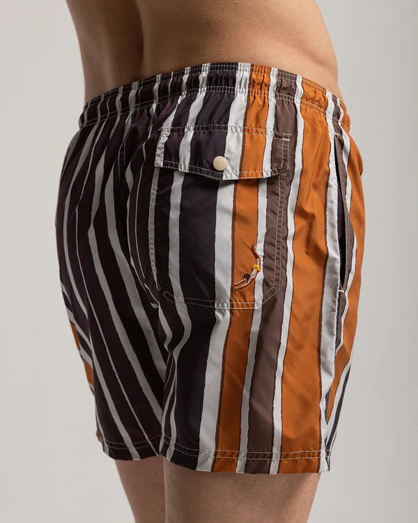 Brown Baiadera Swim Shorts
