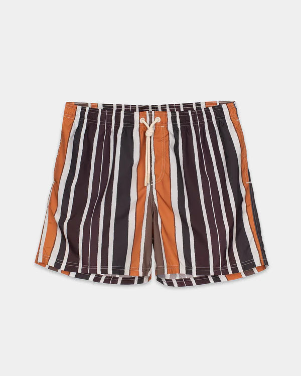 Brown Baiadera Swim Shorts