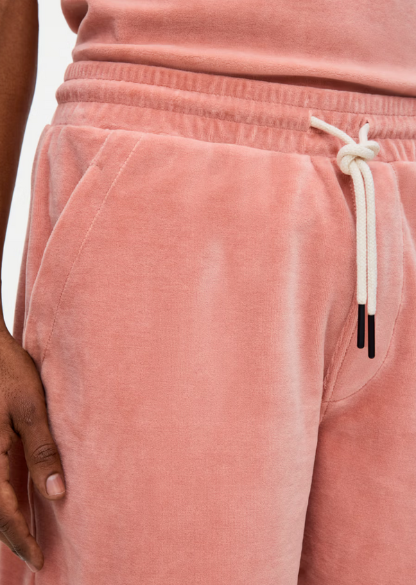 Cameo Velour Shorts