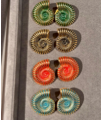 Safari Enamel Shell Earrings