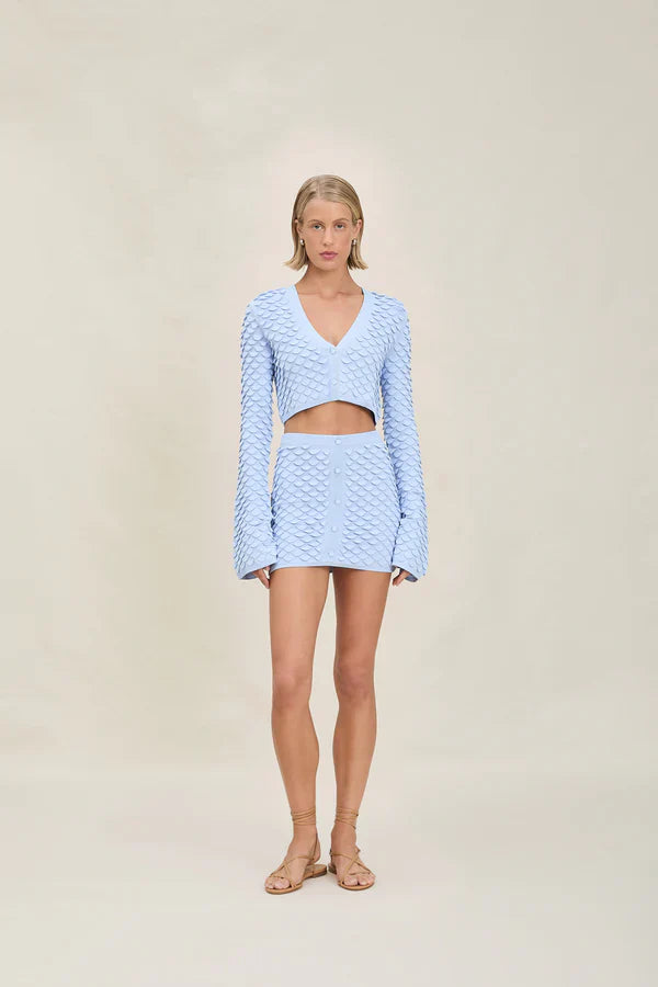 Vanessa Skirt Icy