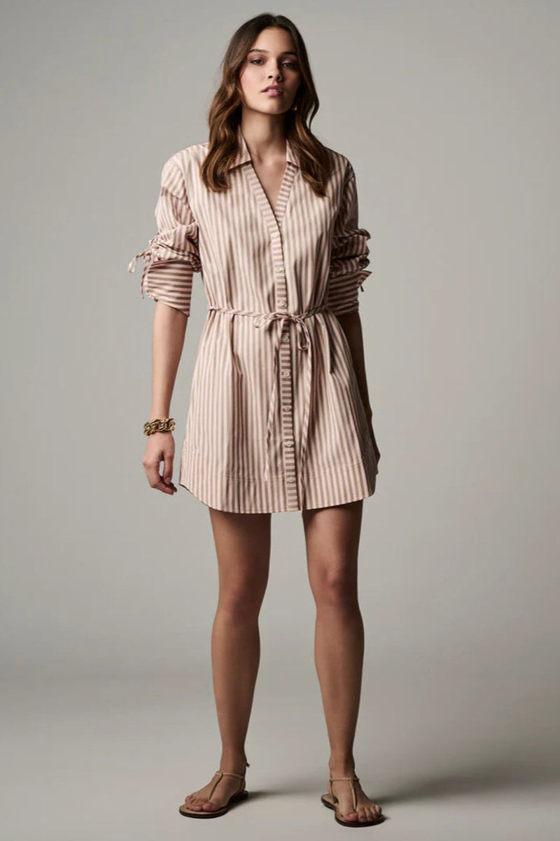 Abigail Dress Blush Stripe