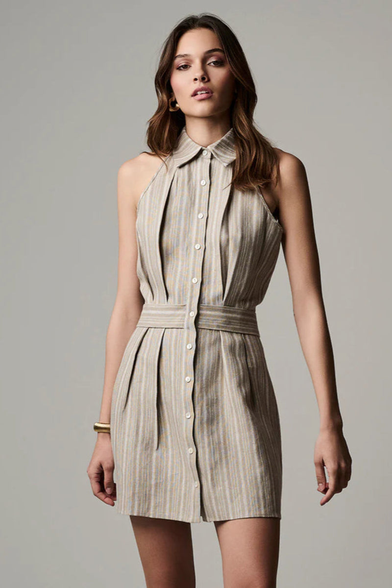 Domino Dress Tawny Stripe