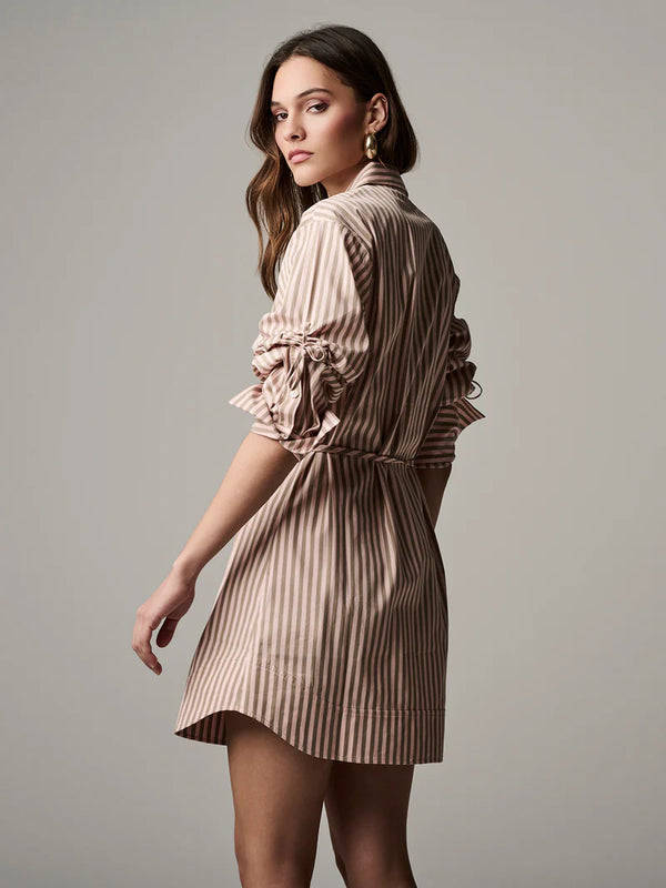 Abigail Dress Blush Stripe