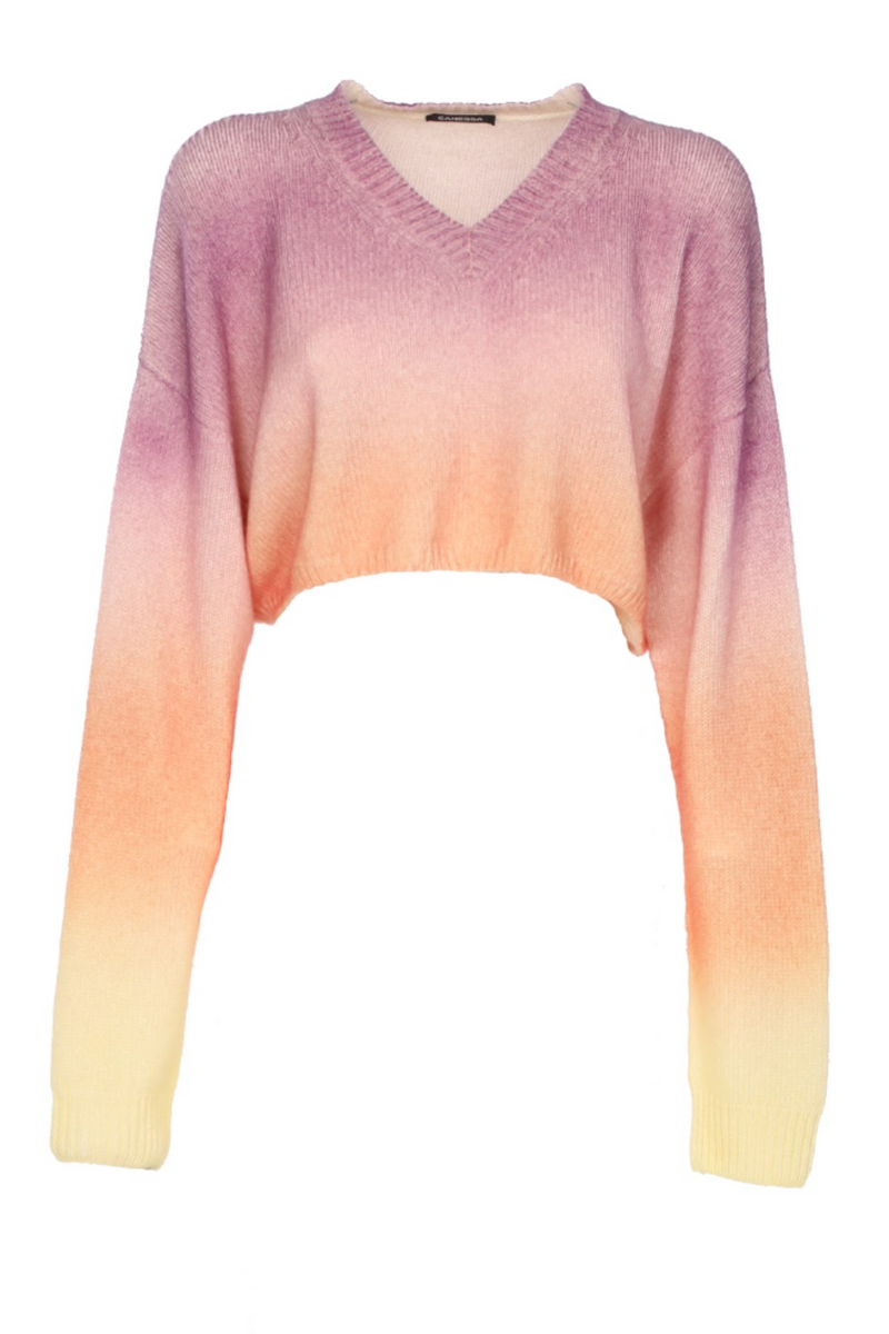 Kasia V Crop Top
