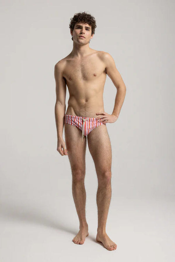 Multicolor Wave Swim Brief Red-Pink Brush Stripe