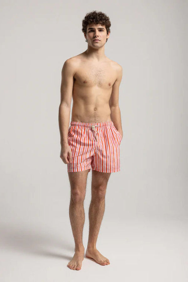 Multicolor Wave Swim Shorts Red and Pink Brush Stripes