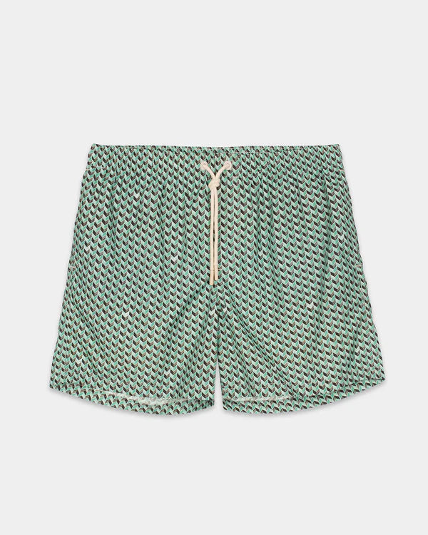 Sage Grains Swim Shorts