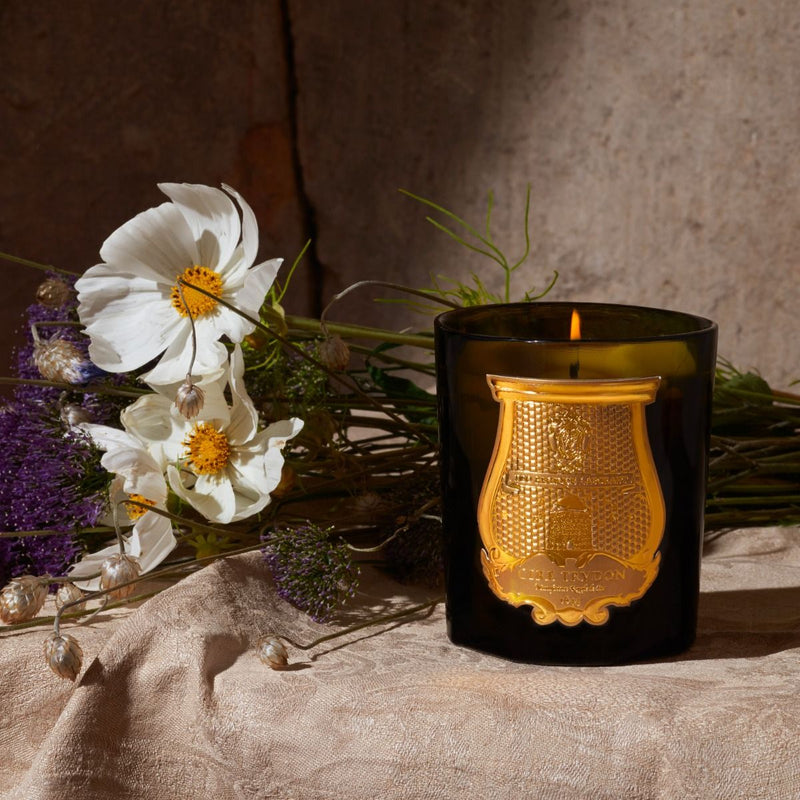 CIRE TRUDON Cire Trudon Mary Classic Candle CANDLES