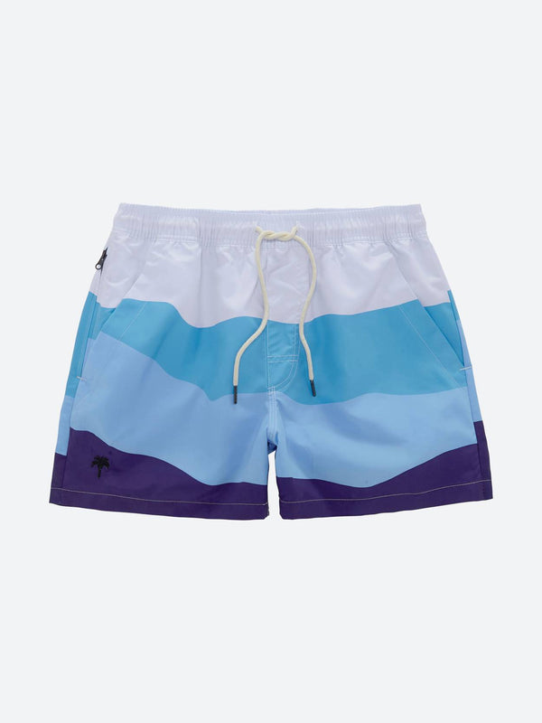 Ice Wave Swim shorts