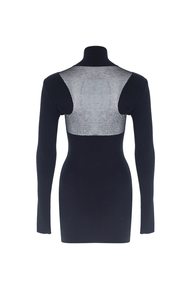 Sheer Knit Mini Dress