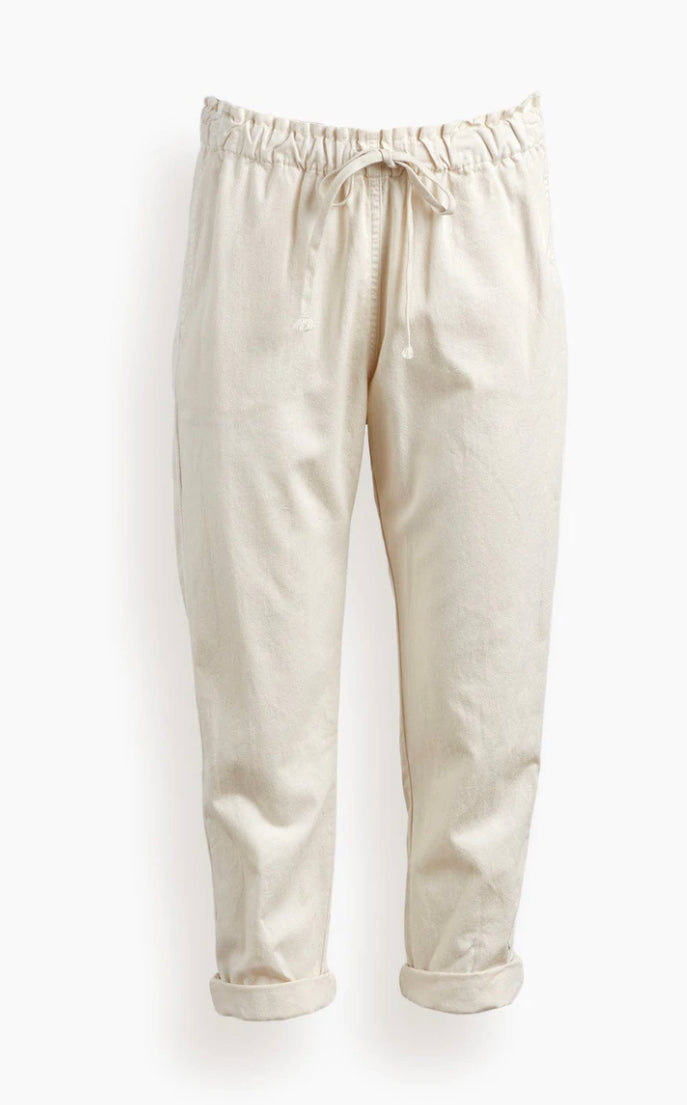 Rex Pant