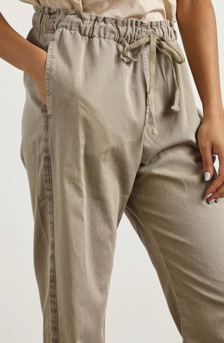 Rex Pant