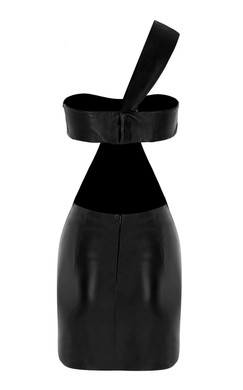 Bustier Leather Mini Dress