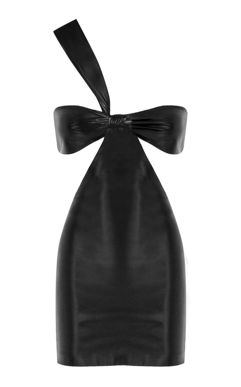 Bustier Leather Mini Dress